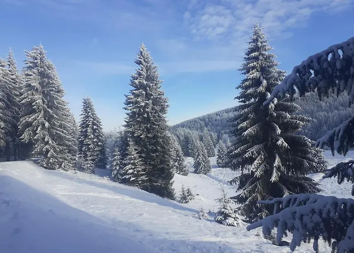 U Pratel Vakantiehuis Kovářská
